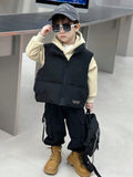 1pc Young Boys' Casual, Simple, Fashionable, Practical, All-Match, Breathable, Comfortable Stand Collar Vest With Fleece Lining, Suitable For Daily Life, School, Travel, Sports, Autumn And Winter Seasons
